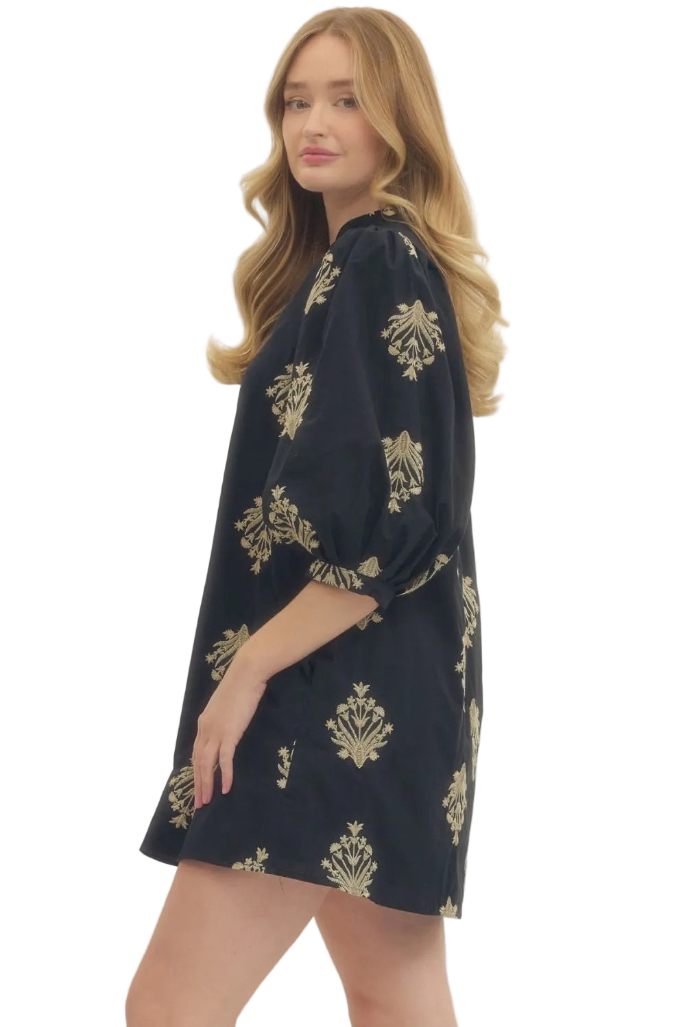 Meryl Black Embroidered Dress
